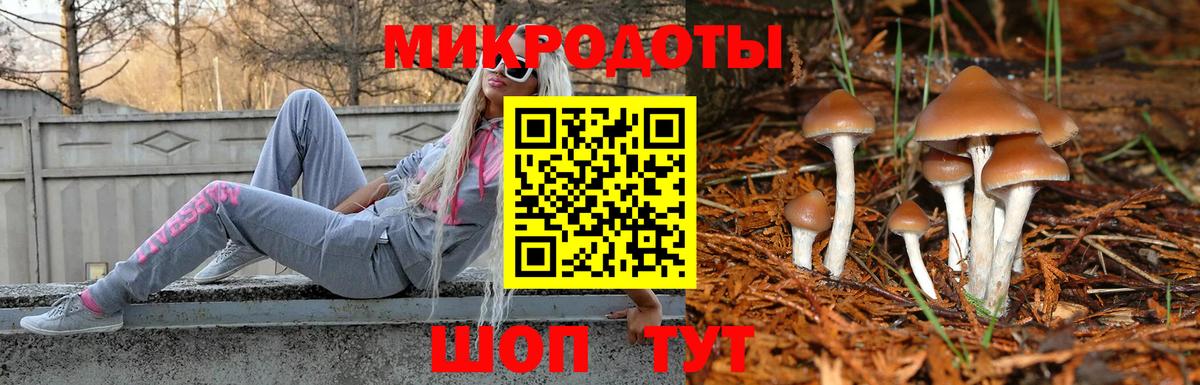 Шатура  Псилоцибиновые грибы прущие грибы  Вход с VPN 